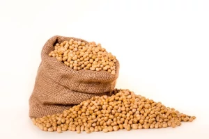 Applications of Level Sensors in Soyabean Oil Processing