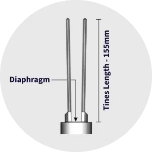 Tines of Tuning Fork